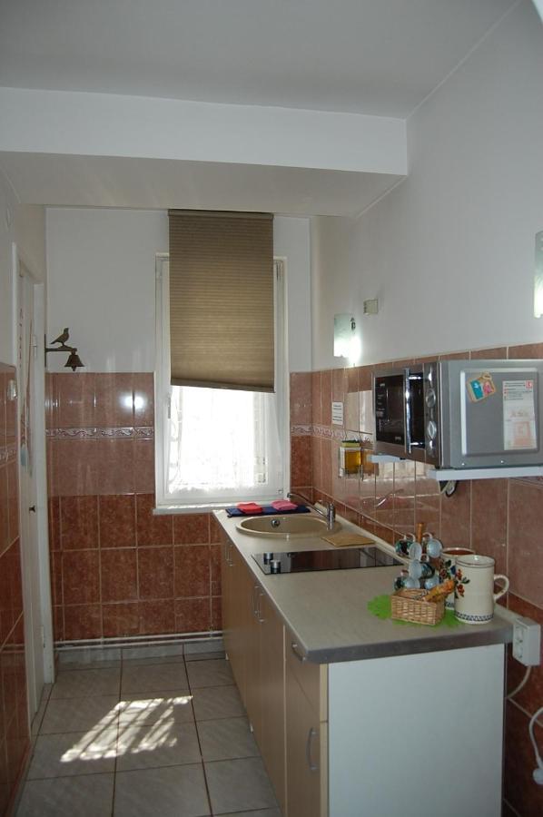 Anna Studio Braşov Extérieur photo